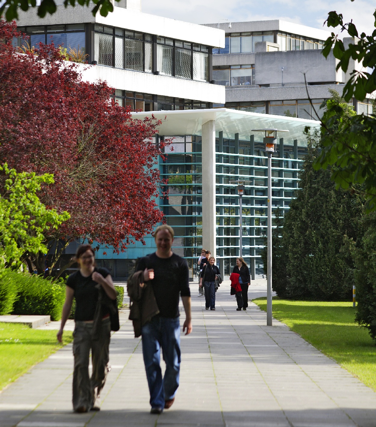 Students walking in a tree lined walkway, Belfield Campus with a building behind them